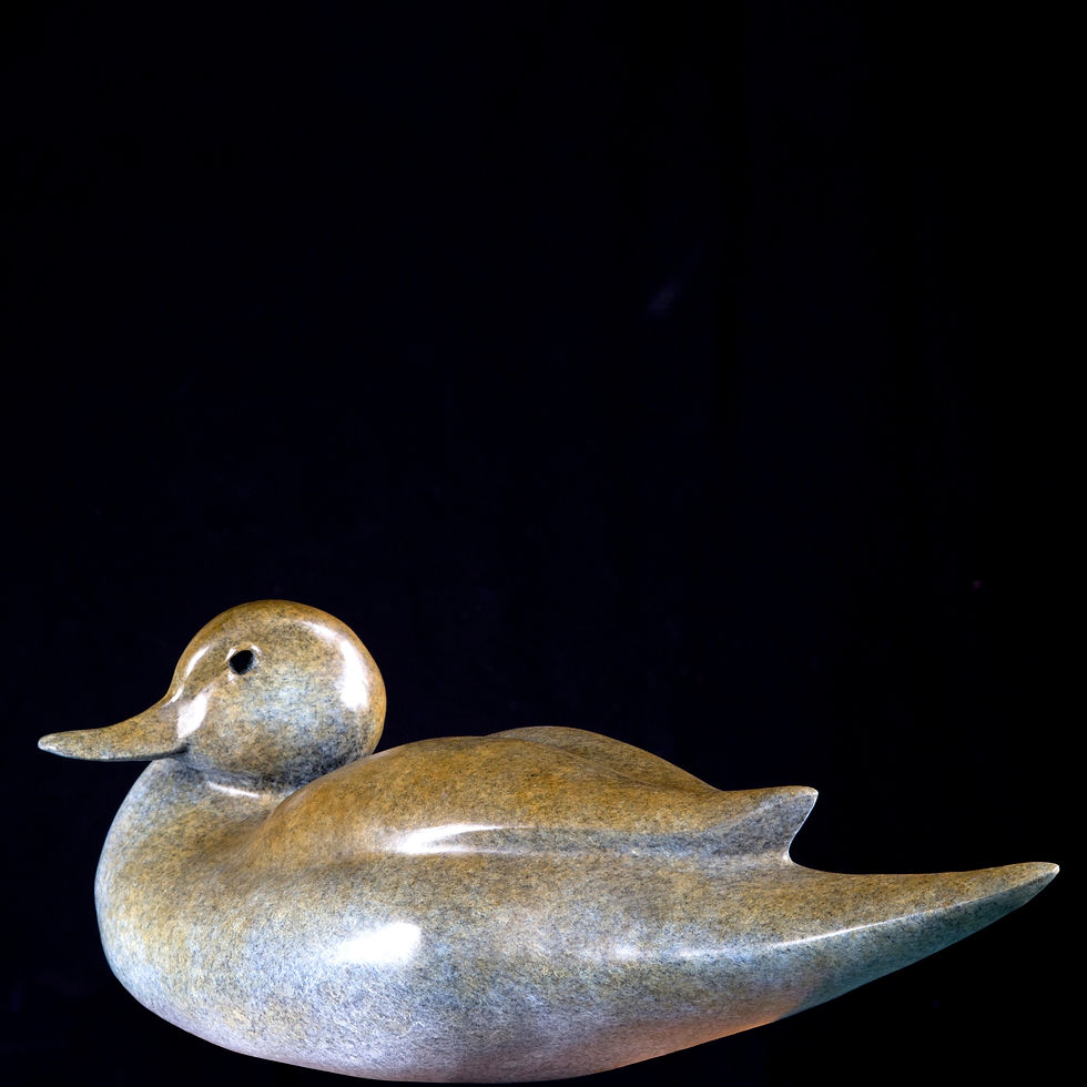 Thumbnail: Anniversary Pintail Hen, Large