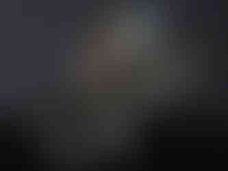 Bronze sculpture of a little green heron on a lotus pad looking at four small frogs