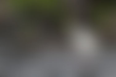 Enjoy the Water Birds