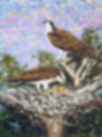 Original oil painting of two nesting ospreys by Geoffrey C. Smith