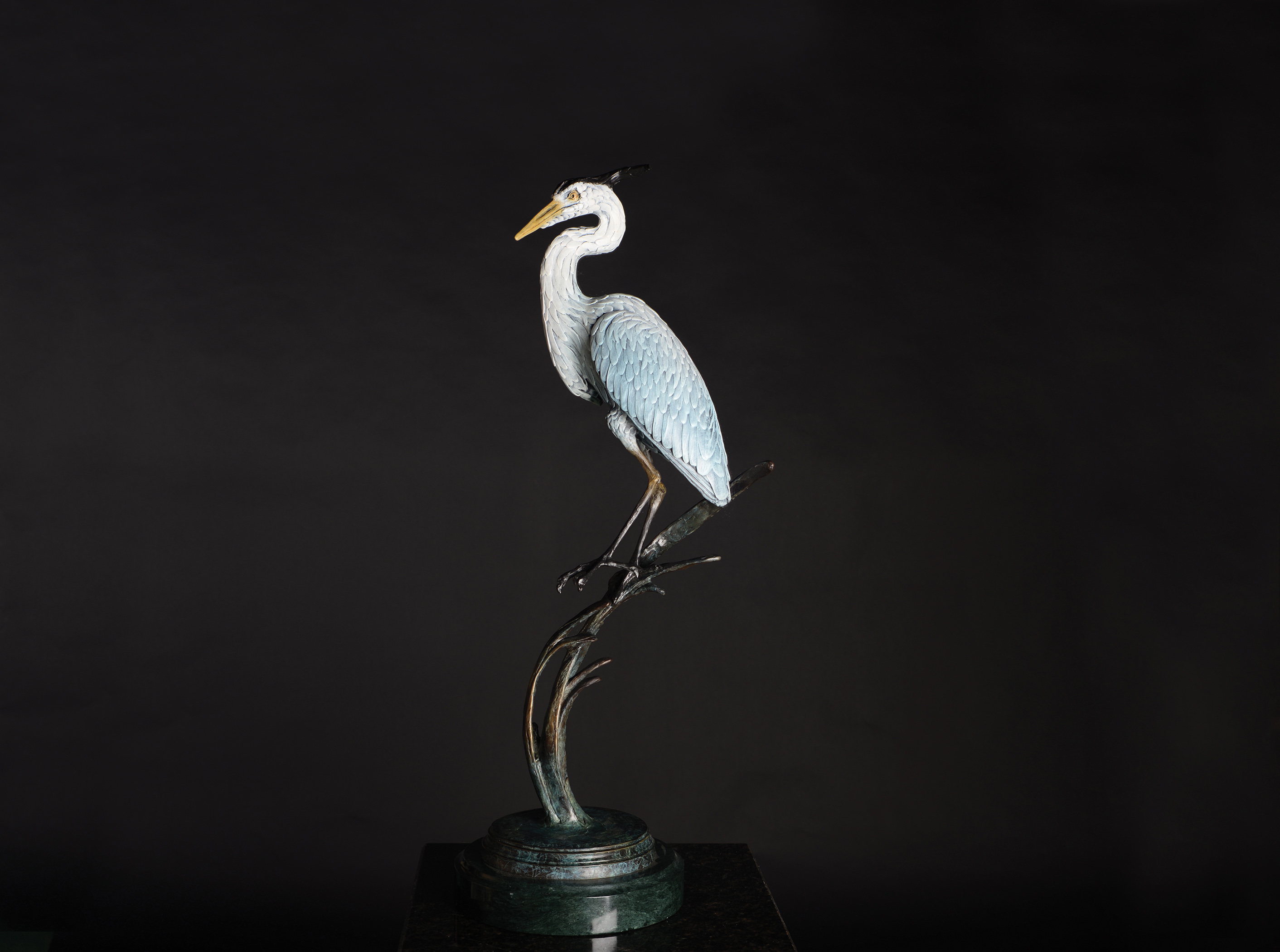 Great Blue Heron Balancing