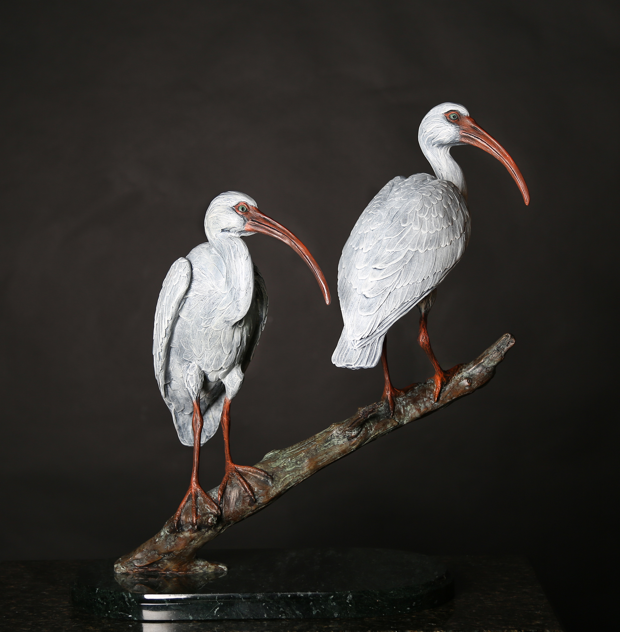 Ibis Duet