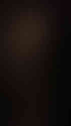 Bronze sculpture of a life-size wood stork in a traditional bronze patina