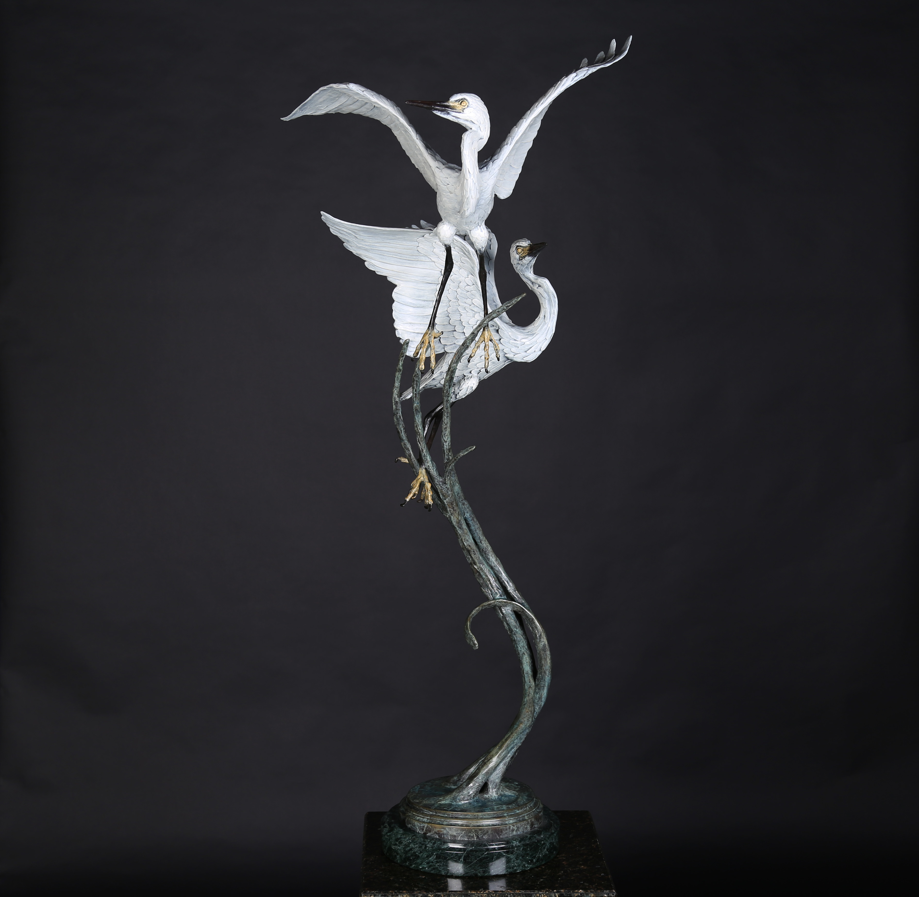 Egret Duet