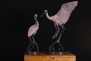 The Roseate Spoonbill-The Patina Journal Artist Blog