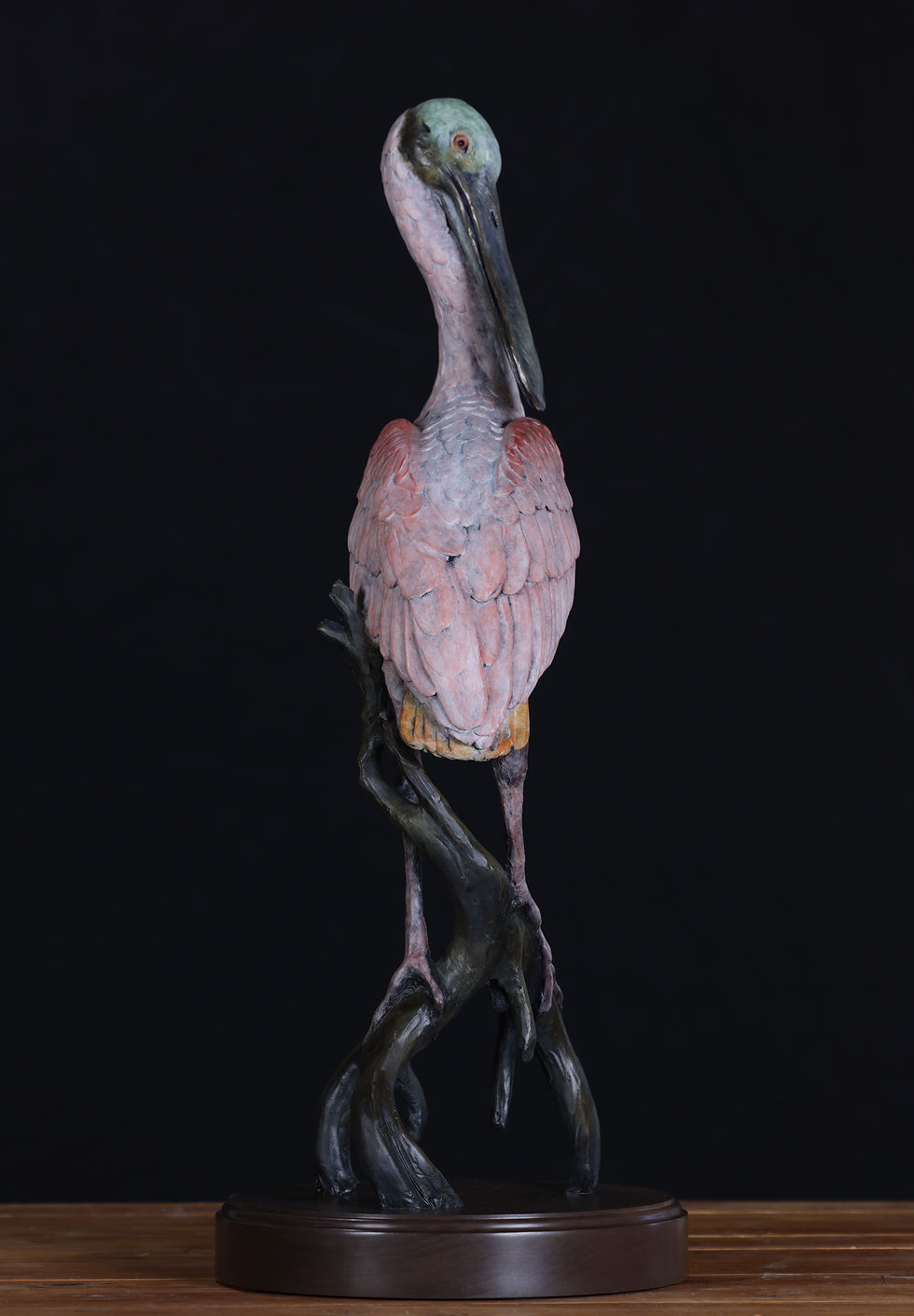 Thumbnail: Resting Spoonbill