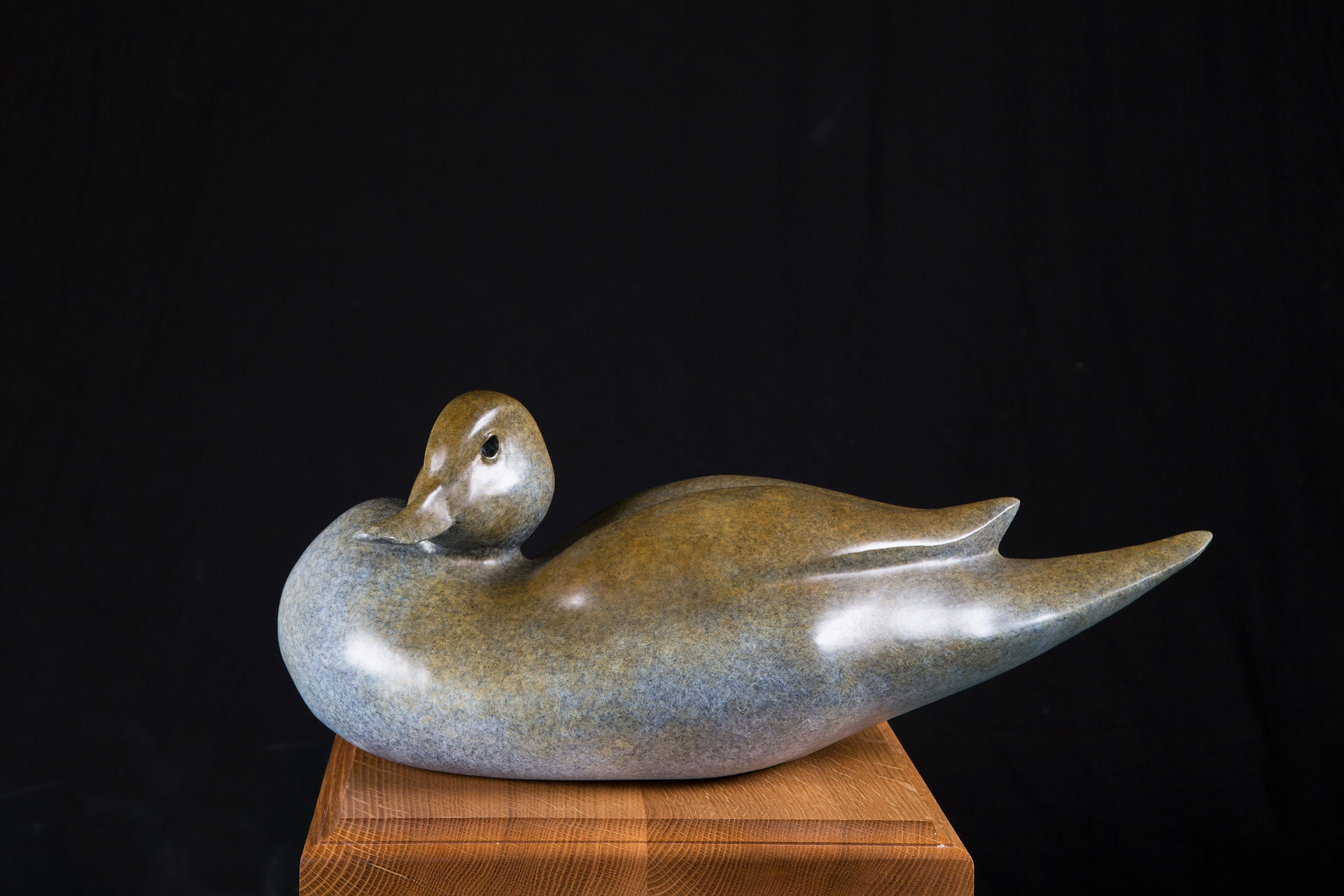 Anniversary Pintail Hen bronze sculpture by Geoffrey Smith in a yellow patina