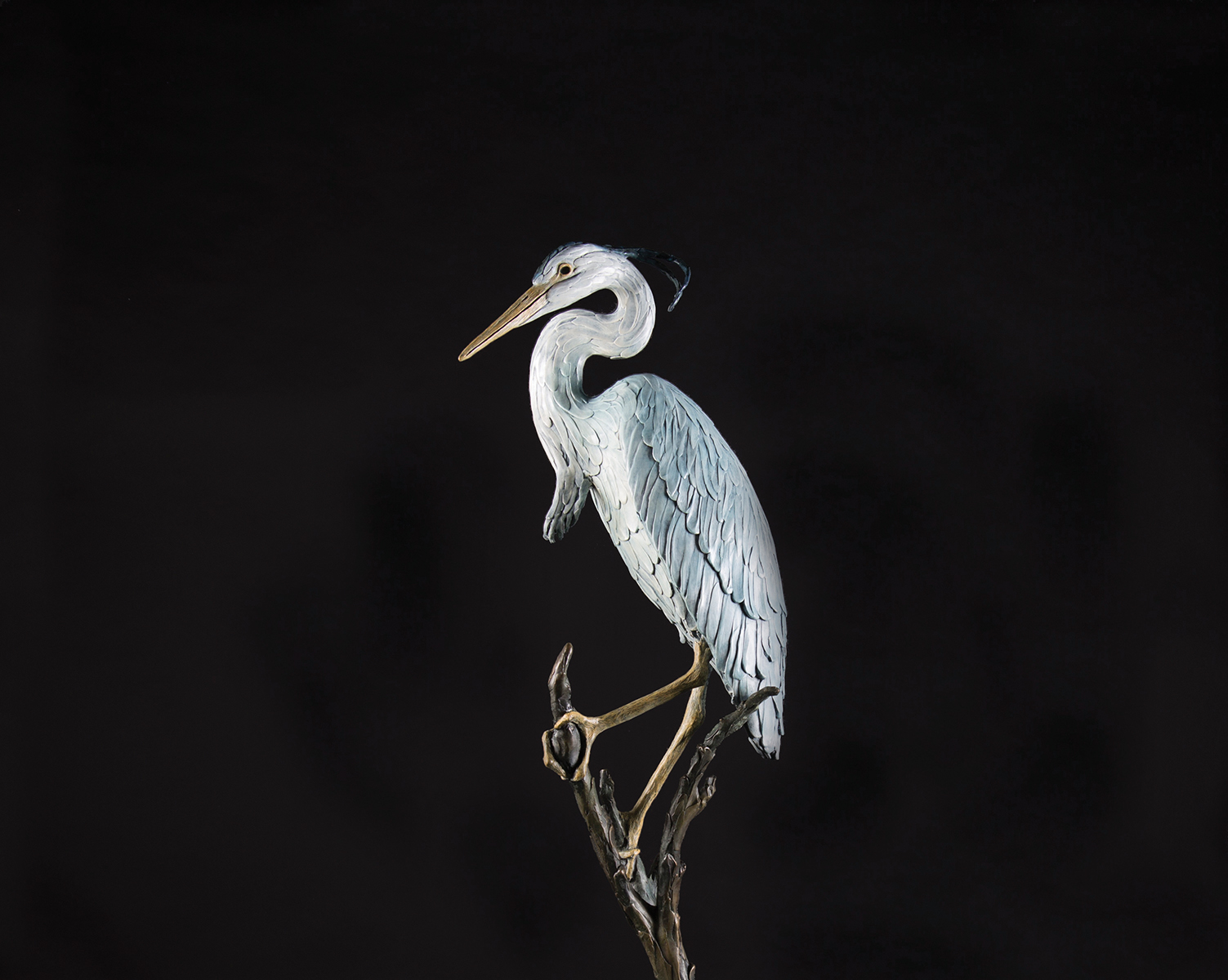 Great Blue Heron Life Size, Tall
