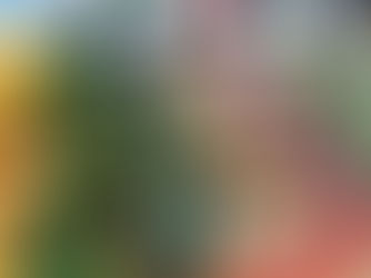 Spring 2024 Newsletter