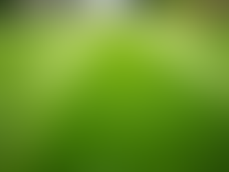 Transform Your Yard with Expert Lawn Mowing: Professional Lawn Care Tips