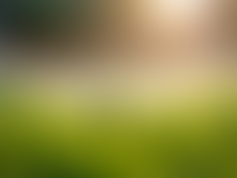 Efficient Irrigation System Maintenance Services