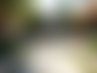 Innovative Contemporary Landscape Design Ideas