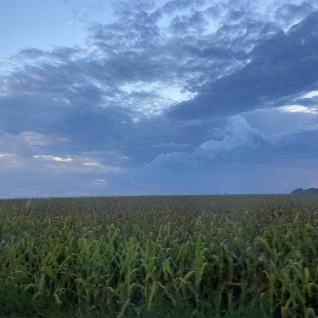 Why We Paused Van Life