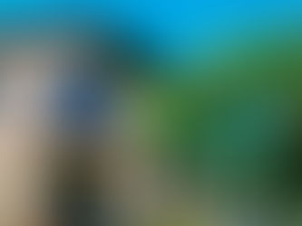 Spending My 28th Birthday In Wine Country