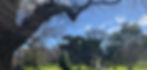 Counselling to heal from Trauma, Suicide Bereavement, Family Violence, Childhood abuse - How do I know I am healing?
