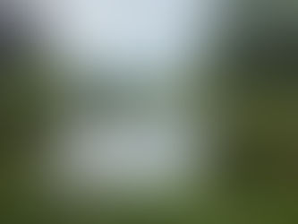 Grief and Loss Counselling Melbourne 