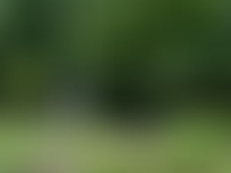 Understand the impact of trauma on the nervous system