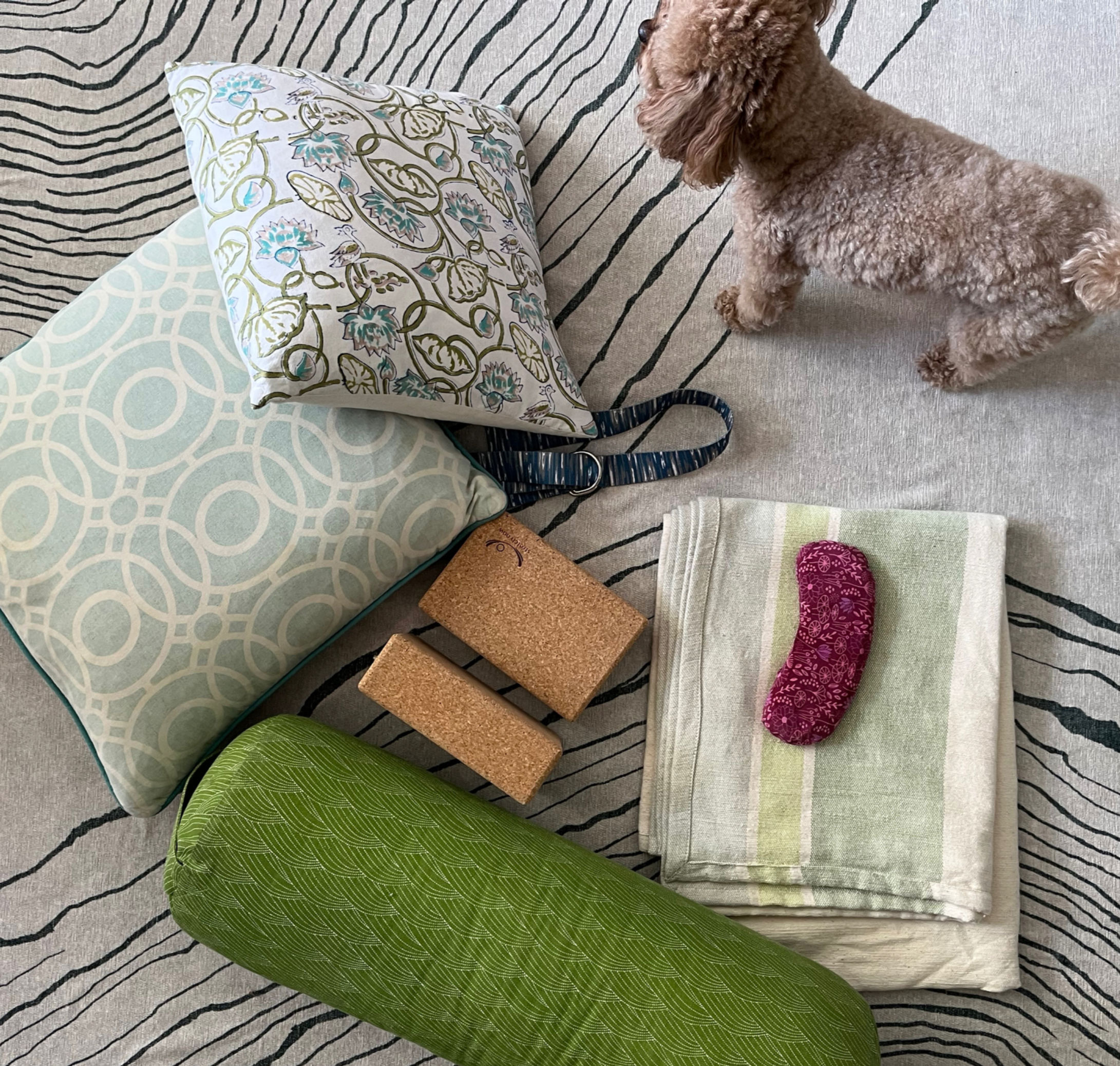 Yoga Private Trauma Informed Classes