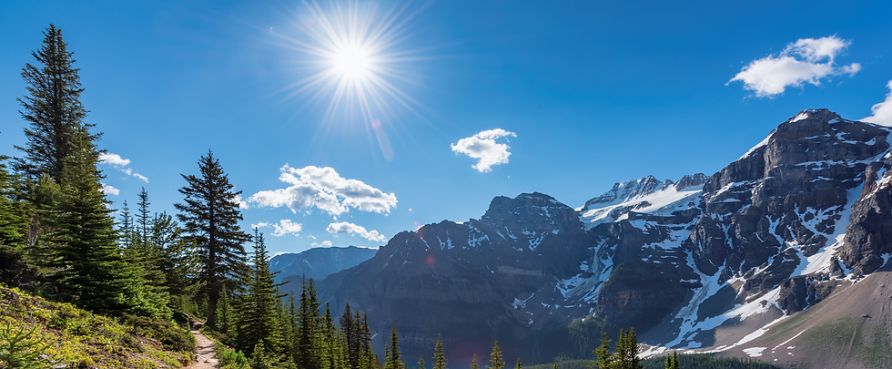 AdobeStock_239130352_edited.png