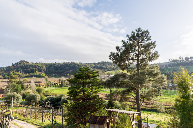 Vista da casa de campo