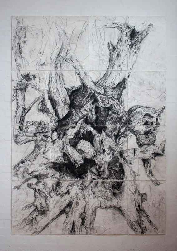 Sarah Murray_Tree Stump_Charcoal on Paper_238 x 168 cm.jpg