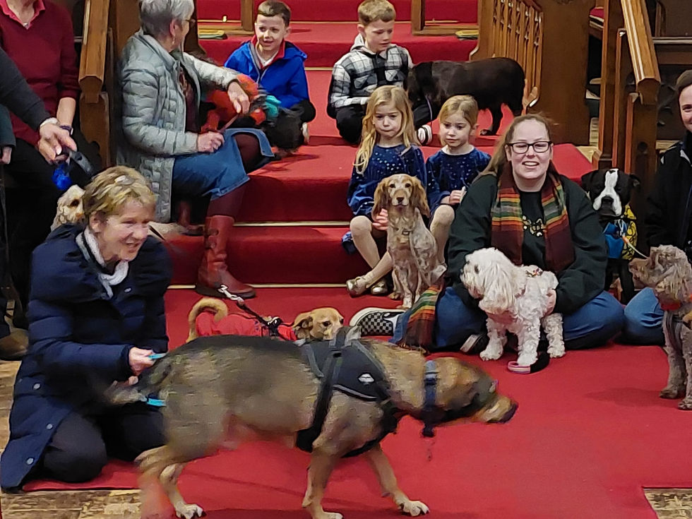 WhatsApp Image 2025-12-09 at 20.01.11