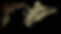 Trending Terms Banner TUBS 2025 (3).png