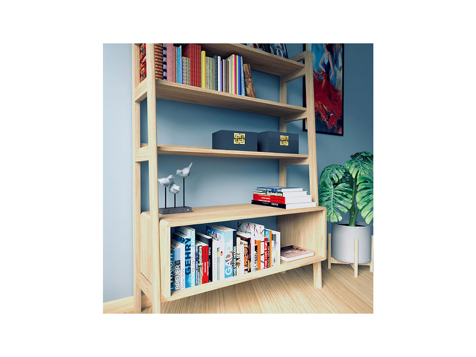 縮圖：LUX, Display Shelf, Bookshelf