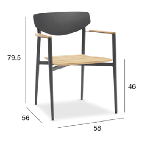 縮圖：PALM Chair