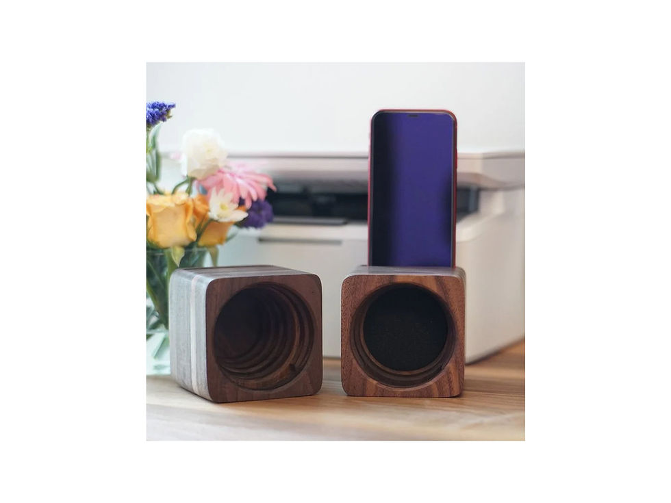 縮圖：MOBLA, Acoustic Amplifier