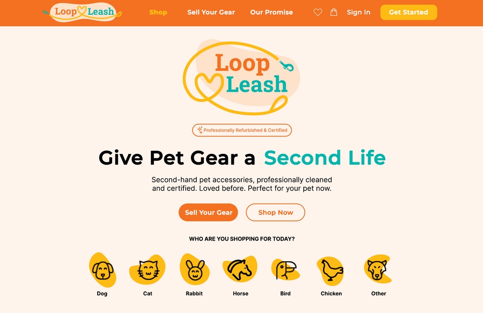 Web Mockup1