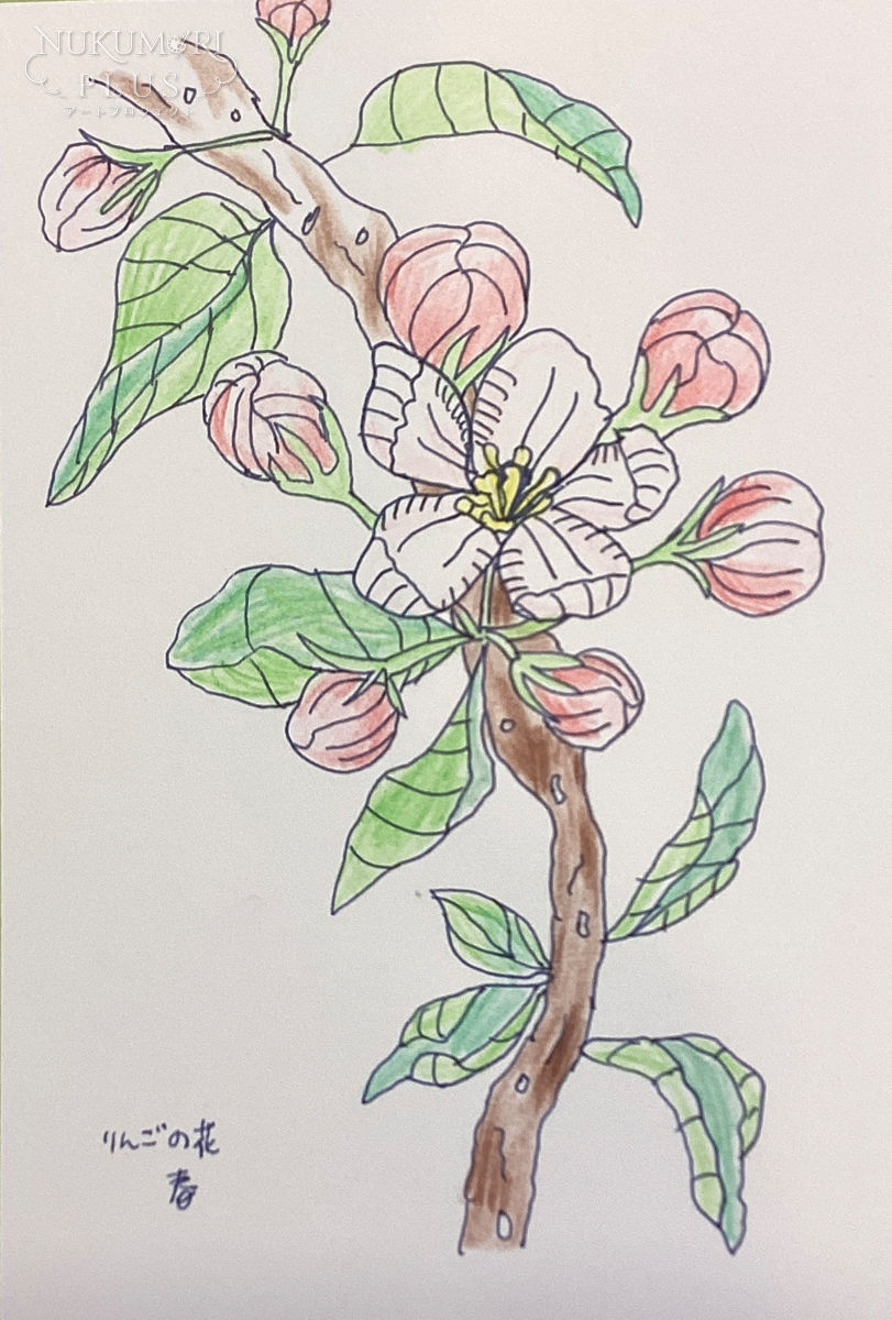 りんごの花～春～／ネコタリリ