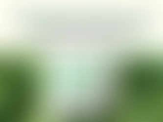 เซ็นเซอร์ตรวจจับความสด อาวุธลดคาร์บอนในครัว