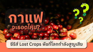 ซีรีส์ Lost Crops พืชที่โลกกำลังสูญเสีย: EP.4 กาแฟ จะรอดไหม?