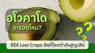 ซีรีส์ Lost Crops พืชที่โลกกำลังสูญเสีย: EP.3 อโวคาโด จะรอดไหม?