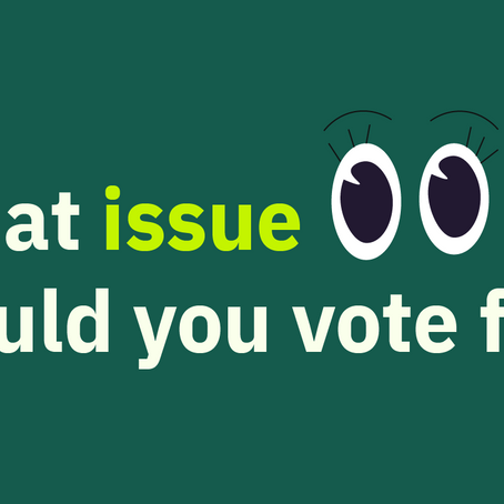 What issue would you vote for?