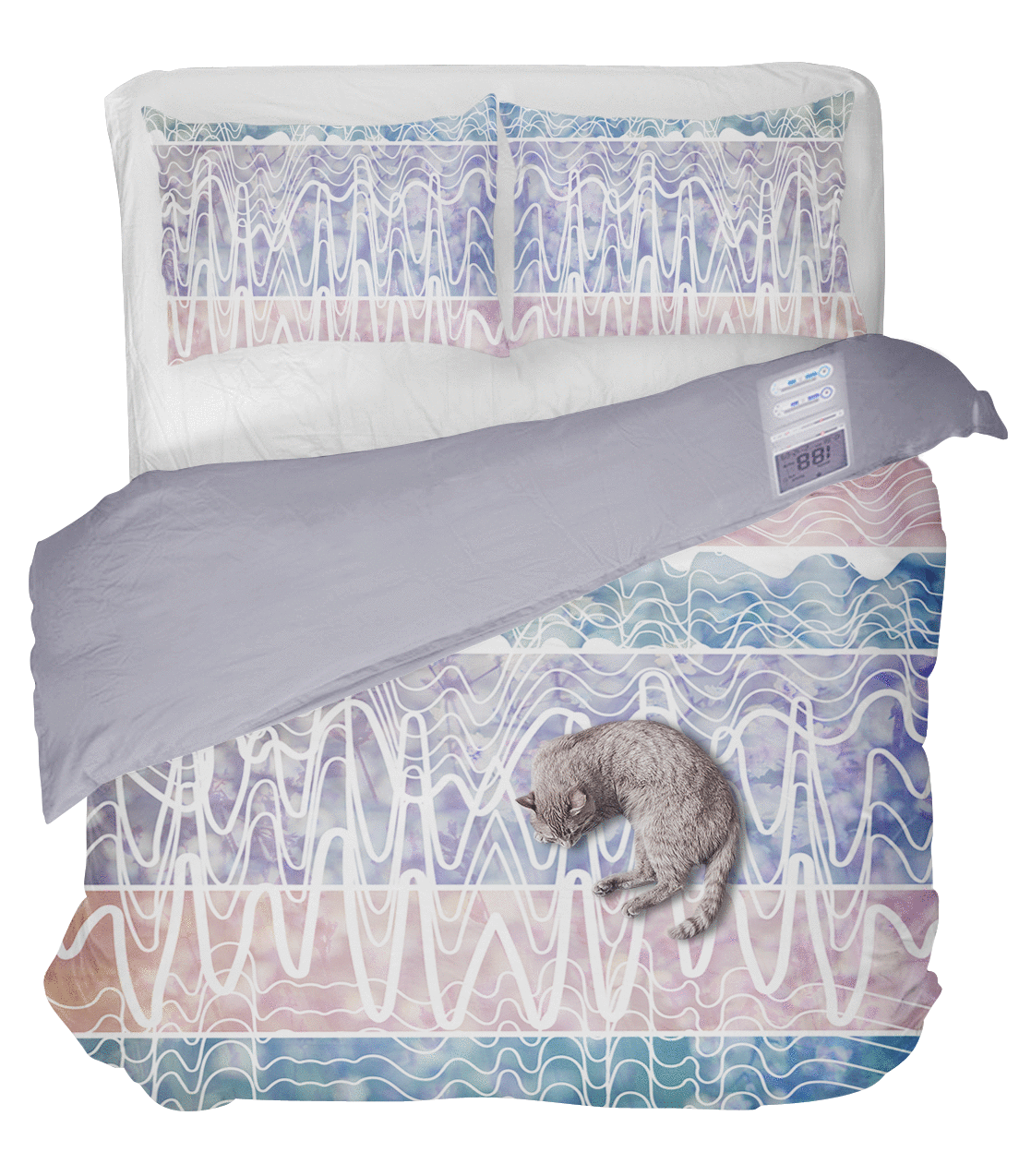 Lavender dreamland