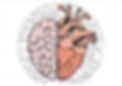171326-cerveau-vecteur-dessine-a-la-main-et-illustration-de-coeur-gratuit-vectoriel.jpg