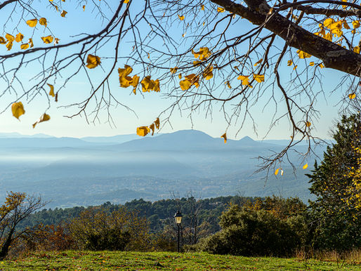 Vue panoramique de Tourtour
