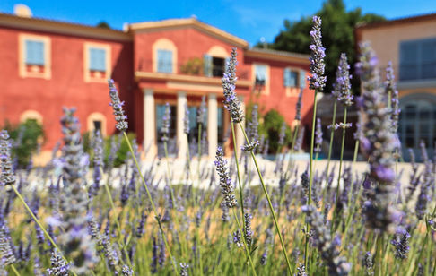 Bastide et lavandes du Domaine de Toasc, vignoble de Bellet à Nice