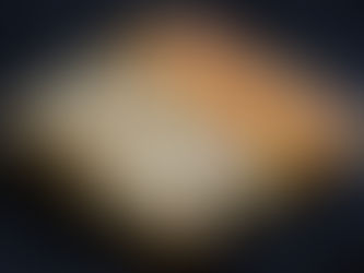 Livraison sur Stand : Pièces Salées