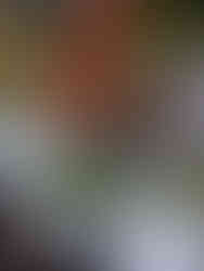 Tableware for an event at Croix des Gardes with Pavillon Traiteur