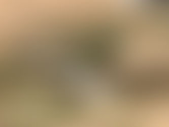 Untreated sewage mixed water flowing into the river Ganga in Varanasi, Uttar Pradesh