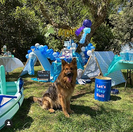 Dog-themed-birthday-party