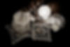 DSC02023.jpeg