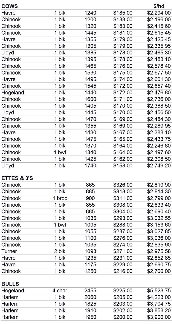 mkt rpt 4-20-26.jpg