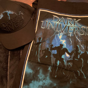 Saturday Afternoon Haul: First Dark Universe merch + Batwing