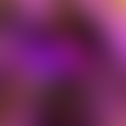 Best of 2021: Sideshow's Robin