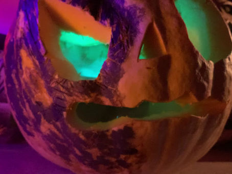 Halloween Haunt Week Begins with Jack O'Lanterns!