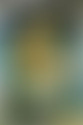 Mad Boy Monsters 4: Featuring Seaman